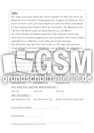 Adler.pdf